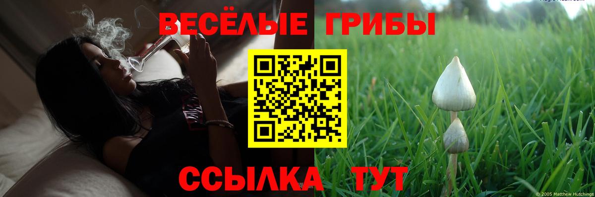 Первоуральск  Псилоцибиновые грибы прущие грибы  Вход с VPN 